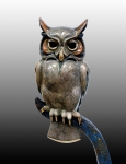 Night-Owl-close